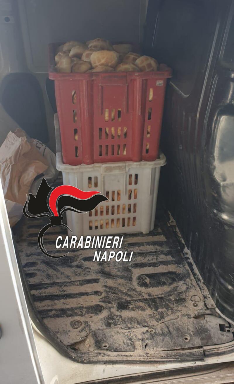 Pane e carciofi sequestrati a Napoli: le immagini dei carabinieri 1