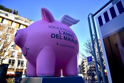 Nuovo anno cinese, in largo la Foppa spunta il maiale gonfiabile 5