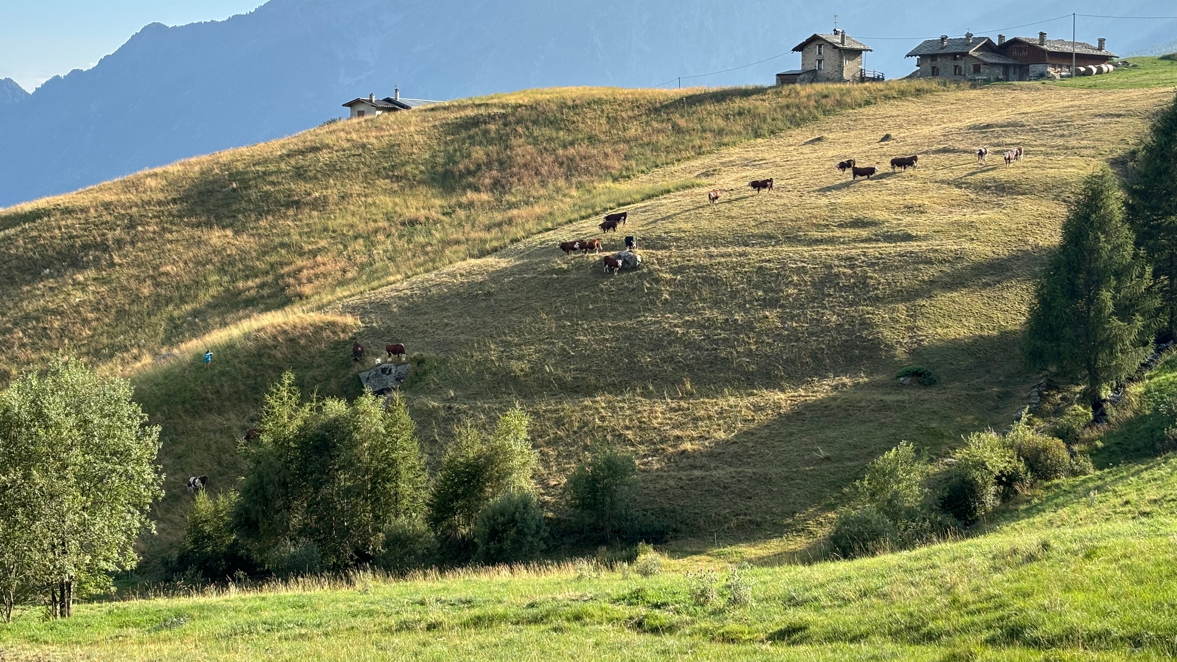 Tra le vette e i prati della Valle (d'Ayas) dove la fuga d'estate non è mordi e fuggi
