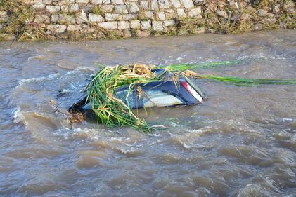 I danni dell'alluvione nella zona di Olbia 3