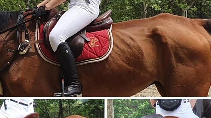 Cavalli denutriti costretti a correre nei concorsi