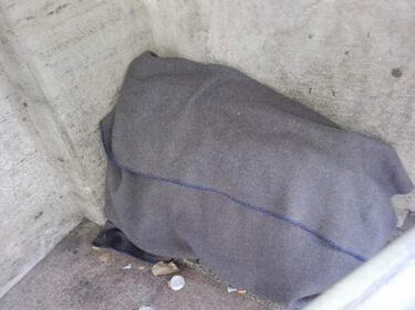 Degrado a San Pietro tra sporcizia, rom e clochard 13