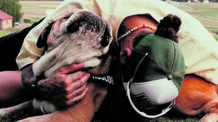 Roscoe non ce l'ha fatta, il dolore di Hamilton. "Farlo addormentare la scelta più difficile"