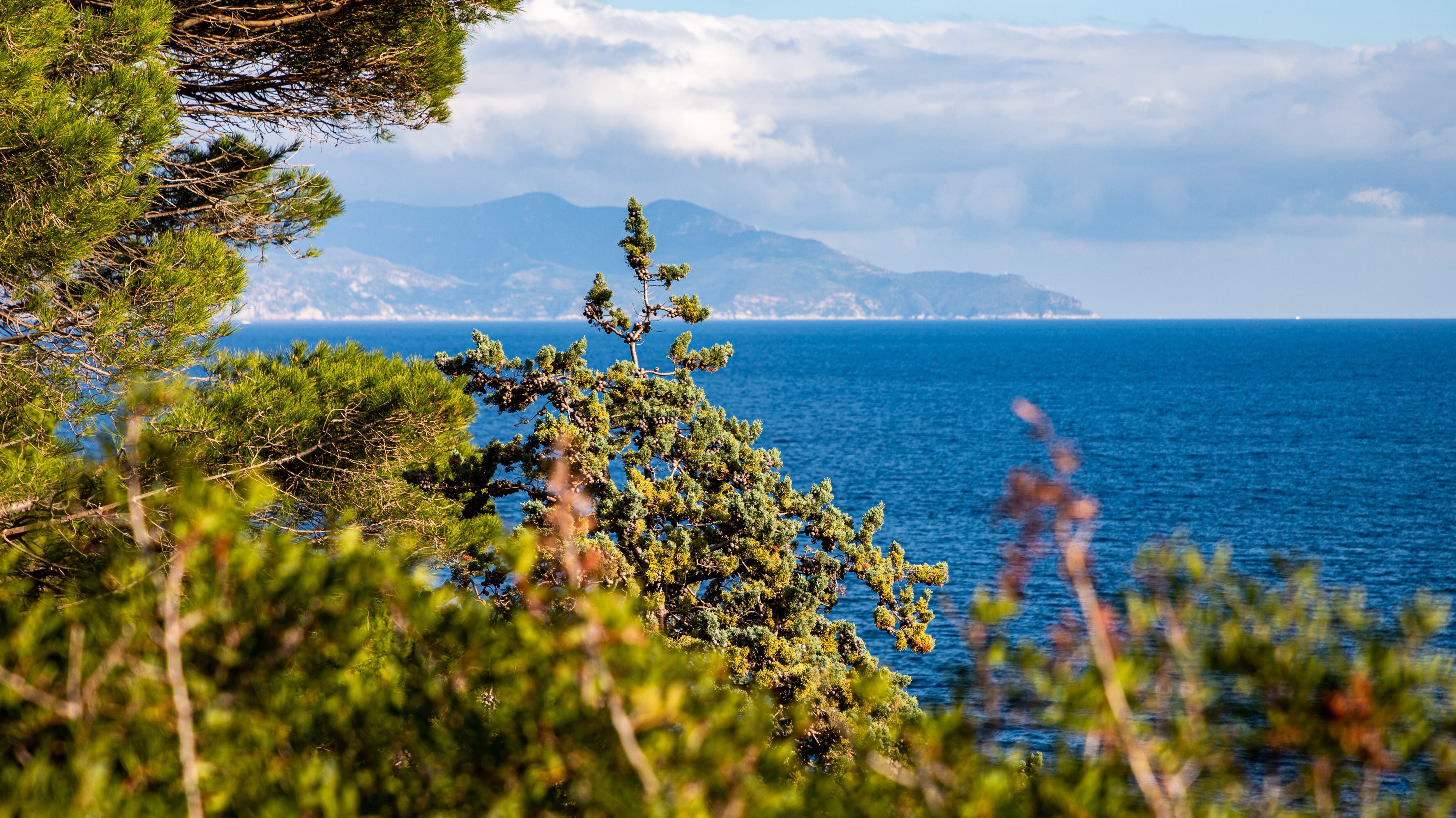 Isola del Giglio: le spiagge più belle e cosa vedere