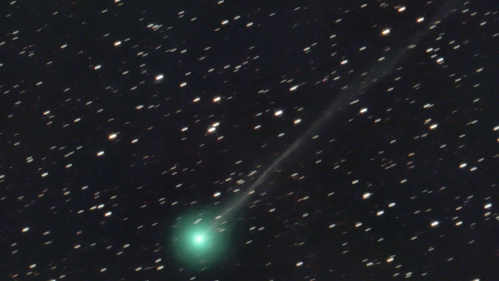 Cometa Nishimura, ecco come e quando vederla a occhio nudo