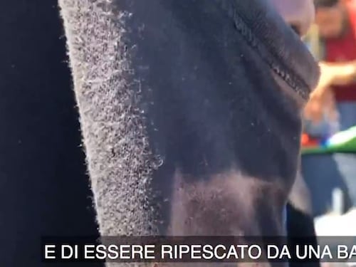 La rivelazione dello scafista: "Poca benzina? Speravamo nelle Ong"