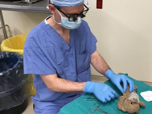 Operazione riuscita: l’orsacchiotto è salvo