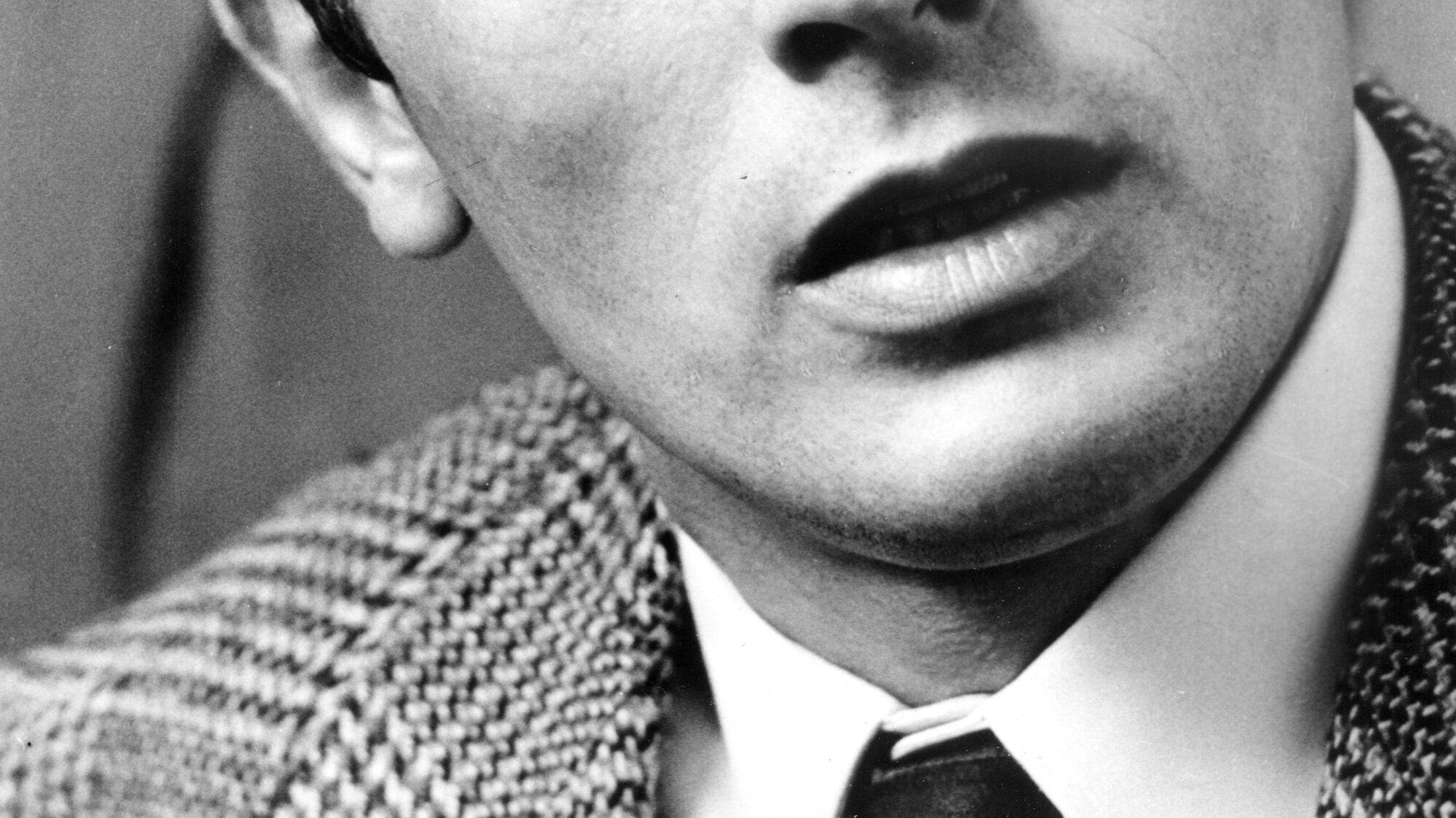 Così Delon liquidò il Sessantotto e Brando