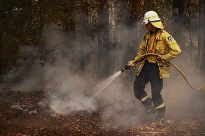 Incendi in Australia, le immagini della devastazione 13