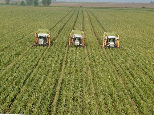 Così la burocrazia sta uccidendo l'agricoltura