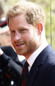 Meghan Markle e il Principe Harry: foto 5