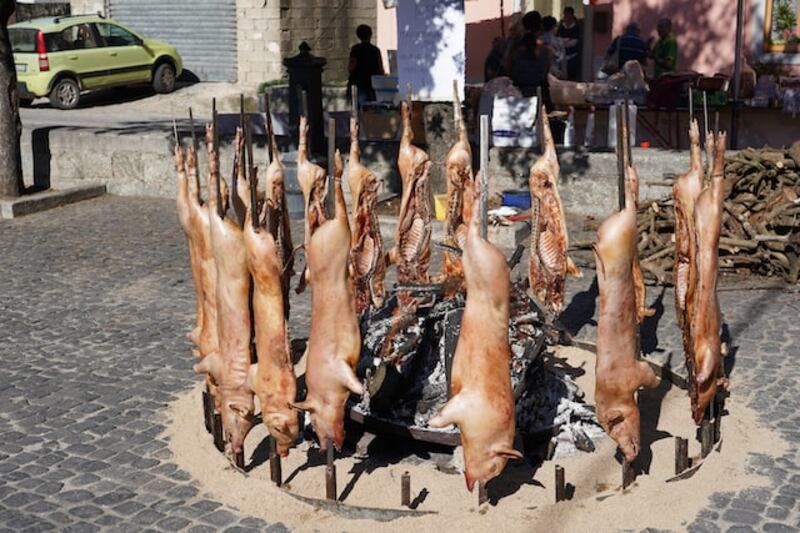 Maialino
