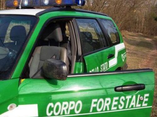 Poliziotto in congedo per motivi familiari: girava film porno a Miami