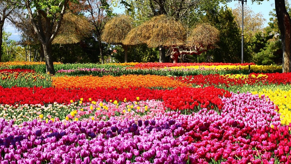 Non solo fiori Dimmi che giardino hai e ti dirò chi sei