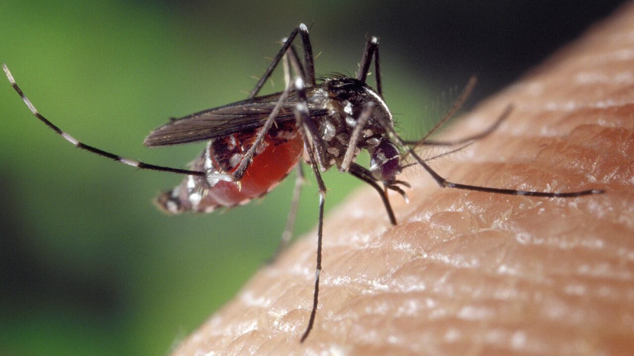 Vaccini: consigli per le vacanze esotiche