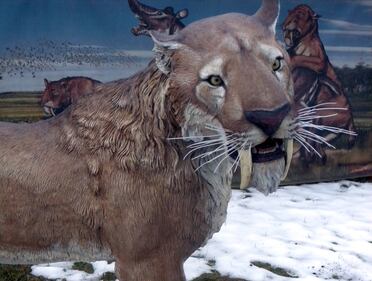 Dinosauri in carne e ossa alla Reggia di Monza 1