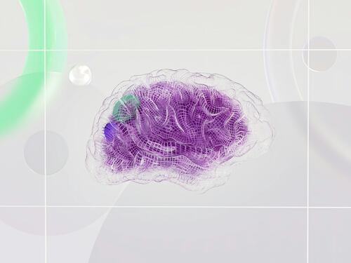 Neuroscienze, a Ponza via alla tre giorni