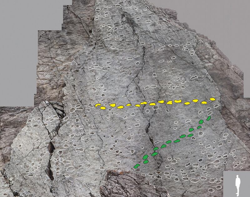 Scoperta al Parco dello Stelvio: orme di Plateosaurus, dinosauro erbivoro 10