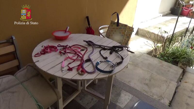 Segregava e teneva madre in casa al guonzaglio 3