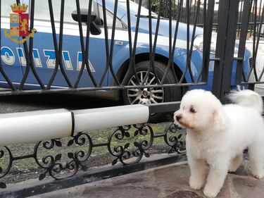 charlie
