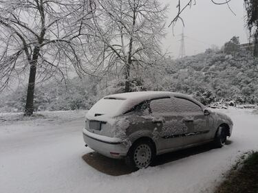 Imbiancate Terni, Perugia e Norcia: l'Umbria sotto la neve 15