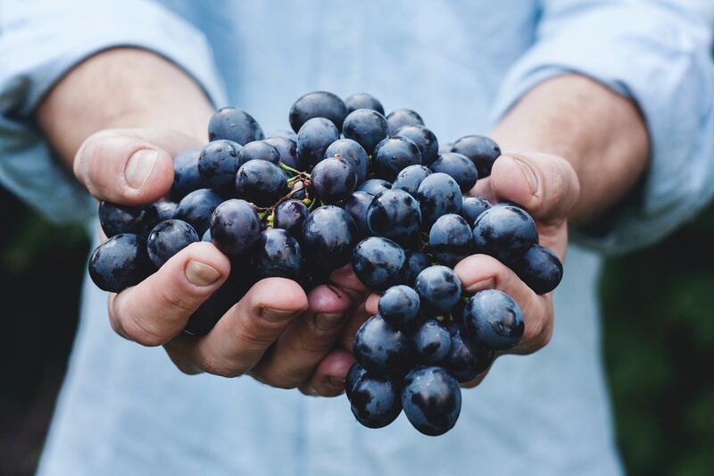 Vini lombardi, una bottiglia su quattro se la beve la Germania