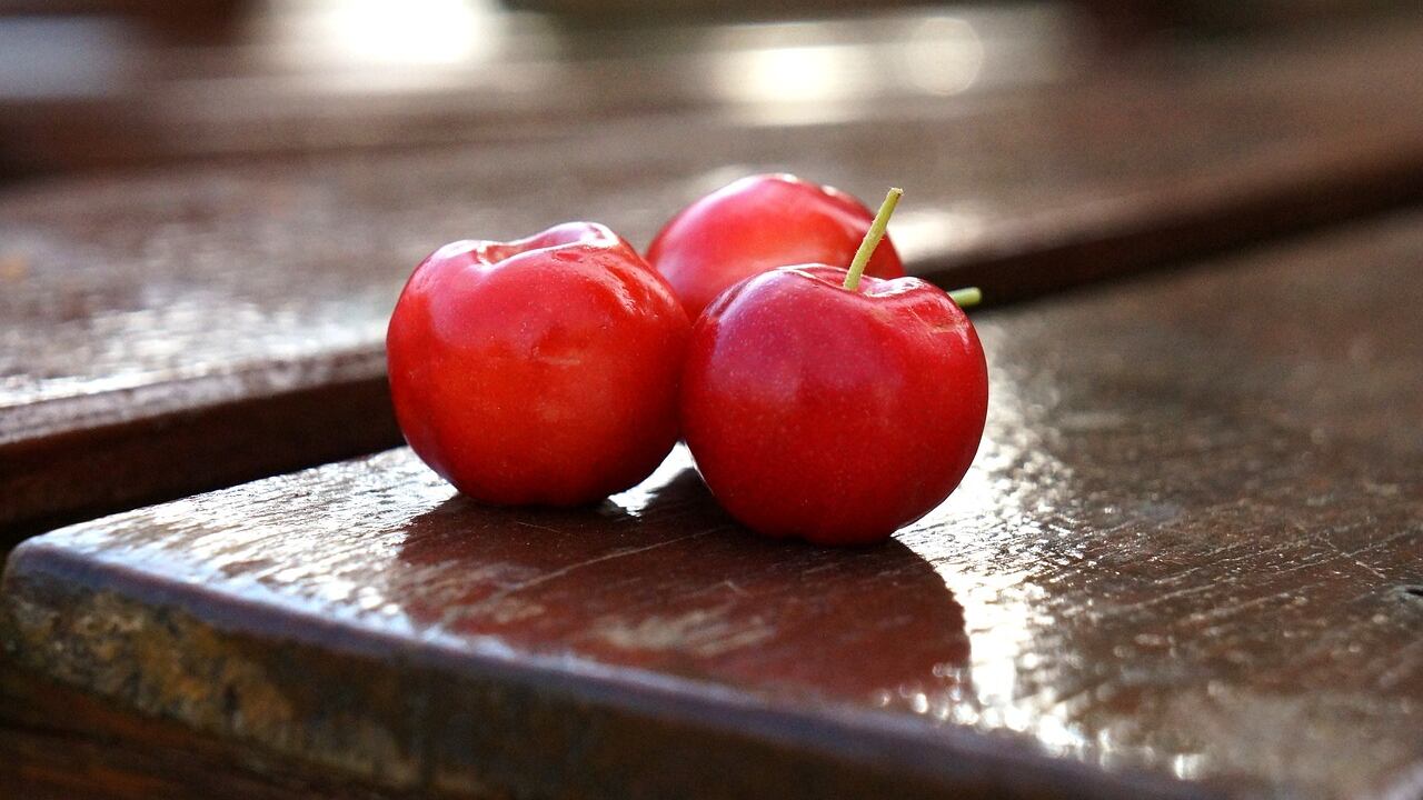 Acerola, la ciliegia tropicale che rafforza il sistema immunitario