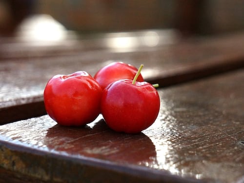 Acerola, la ciliegia tropicale che rafforza il sistema immunitario