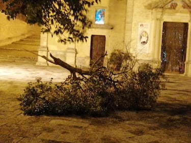 Tetti crollati, alberi sradicati e decine di feriti: il bollettino "di guerra" del vento 11