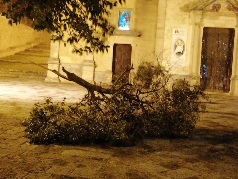 Tetti crollati, alberi sradicati e decine di feriti: il bollettino "di guerra" del vento 11