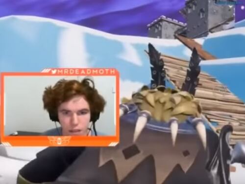 Picchia la moglie incinta in diretta streaming: gamer 26enne arrestato