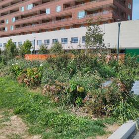 Manutenzione del verde al 'Parco 8 marzo' di Milano 8