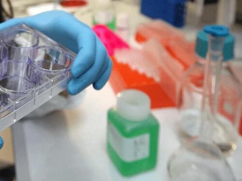 Giornata tumore seno metastatico, in Italia oltre 55mila donne con la malattia