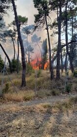 Incendio di Prato, vigili del fuoco e squadre antincendio all'opera 3