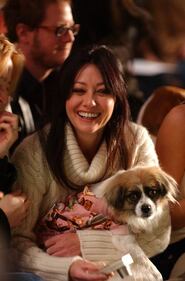 Shannen Doherty ieri e oggi 19