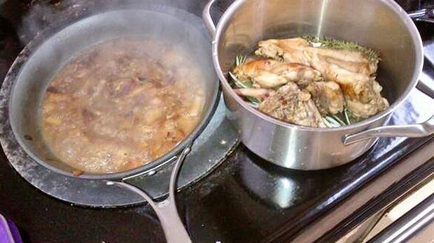 Coniglio le mangia il prezzemolo. Scrittrice lo scuoia e posta la foto su Twitter