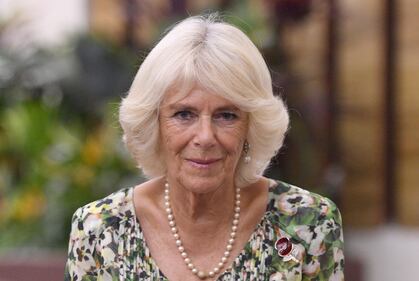 Il Principe Carlo e Camilla Parker Bowles, foto 10