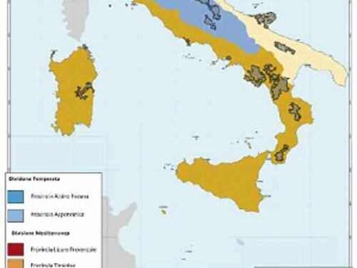 Ambiente e Parchi Nazionali: in Italia più specie viventi che nel resto della Ue