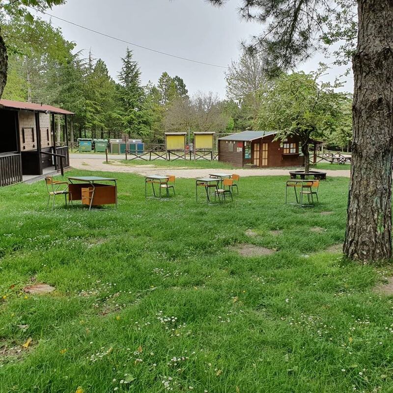Biccari, le immagini della scuola nel bosco 4