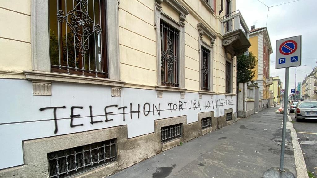 Imbrattata la sede Telethon: "Non si può oscurare la voce della ricerca"