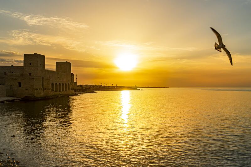 Trani