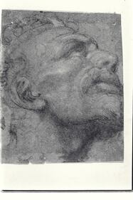 I presunti disegni di Michelangelo 2