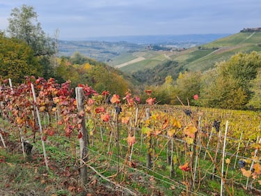 Langhe e Roero, le terre del Barolo e del Barbaresco 6