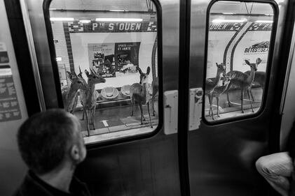 La metrò parigina diventa savana 3