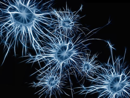 Malattie neurodegenerative: nuova tecnica di neuroimaging