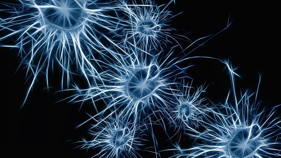 Malattie neurodegenerative: nuova tecnica di neuroimaging