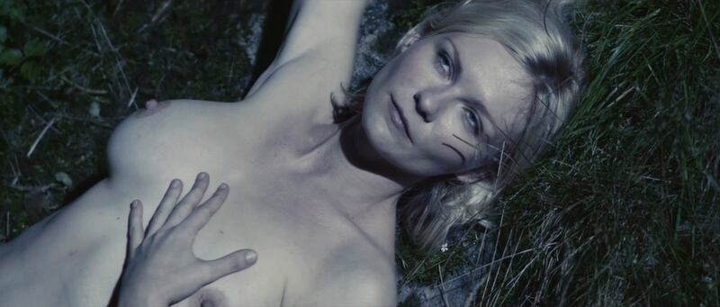 Il cinema di Lars von Trier, foto 17