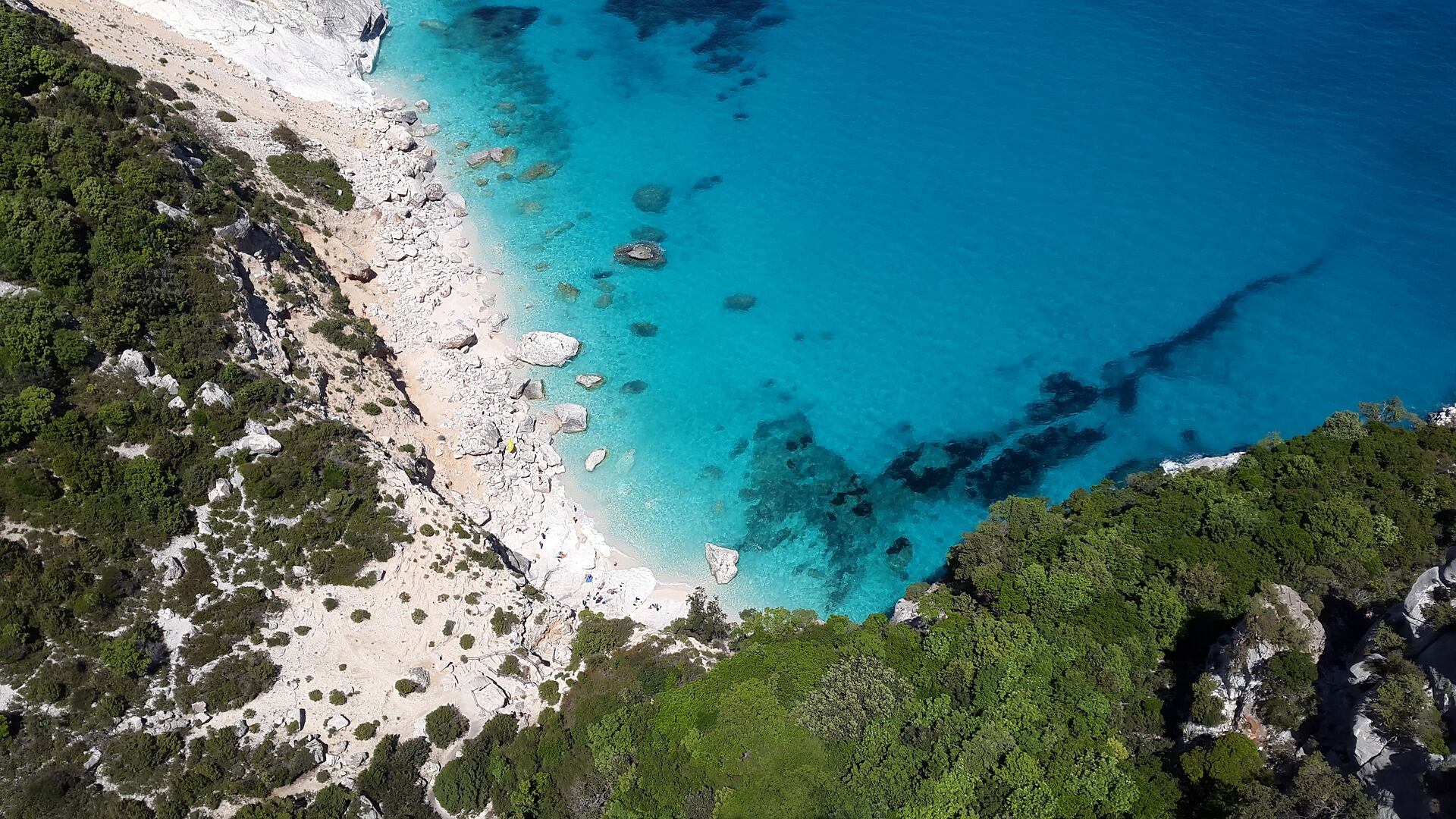 Sardegna, da lunedì sull'isola solo con test negativo al Covid