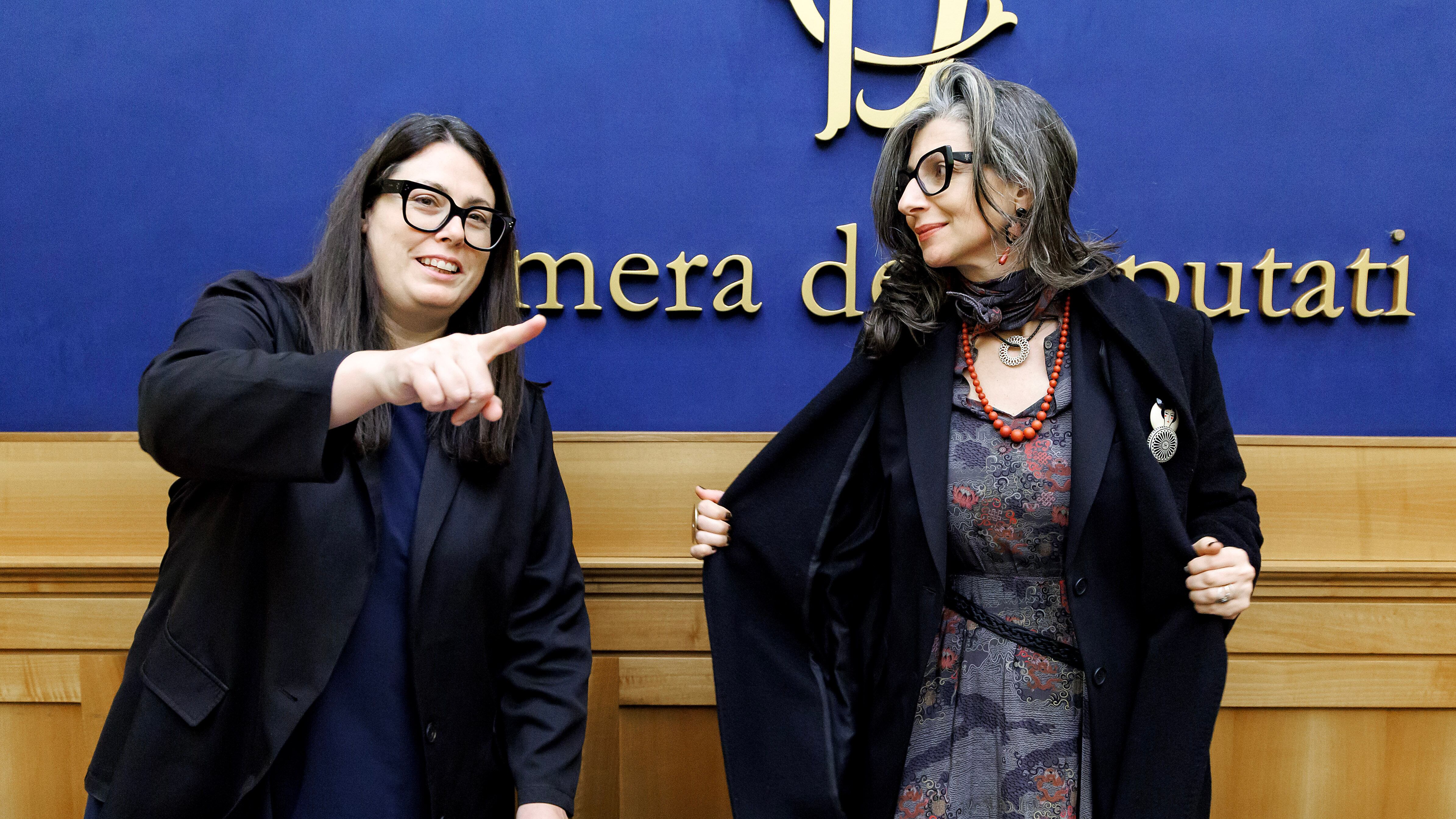 Albanese, il siluro al Pd. "No al ddl antisemitismo"