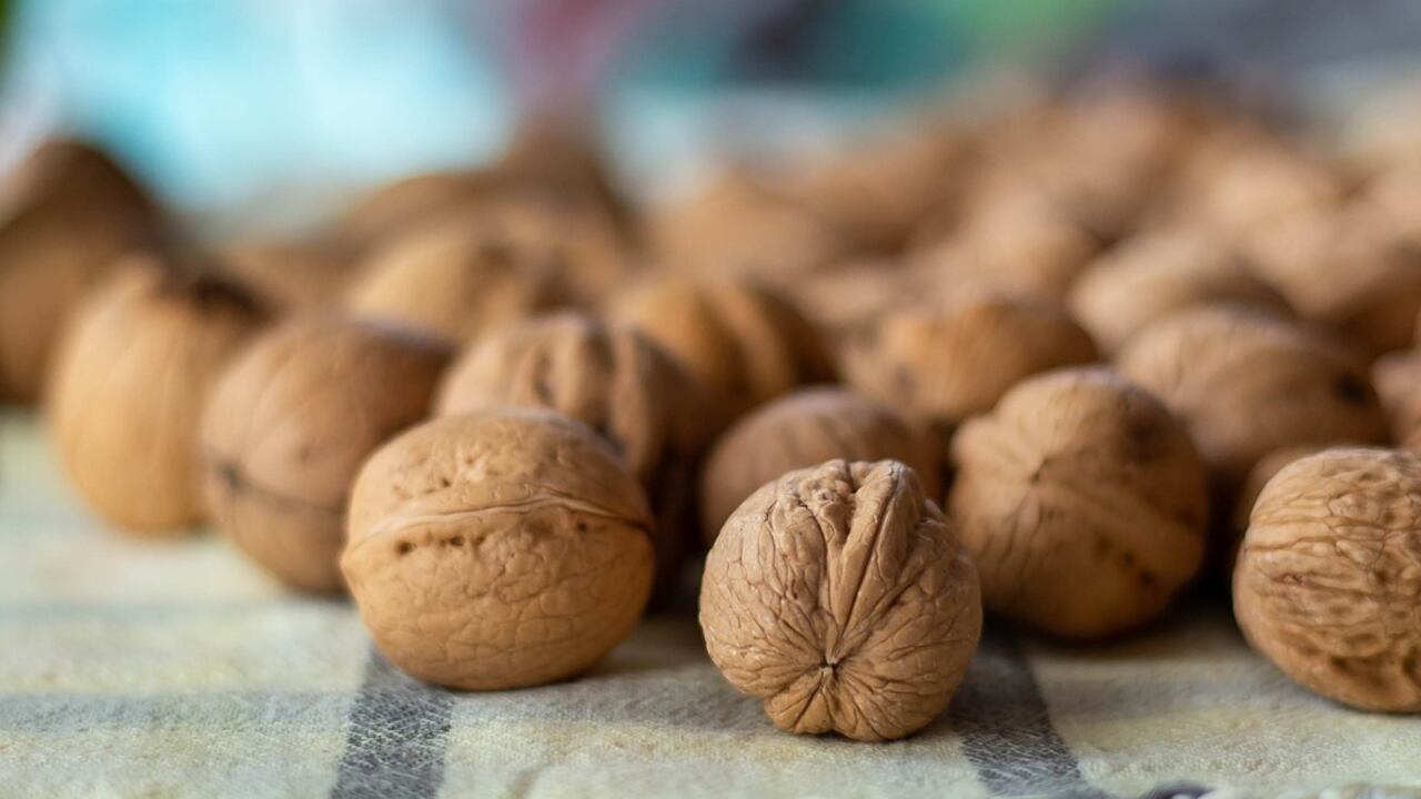 Tumori, un "ingrediente" abbassa il rischio di ammalarsi: cosa sappiamo